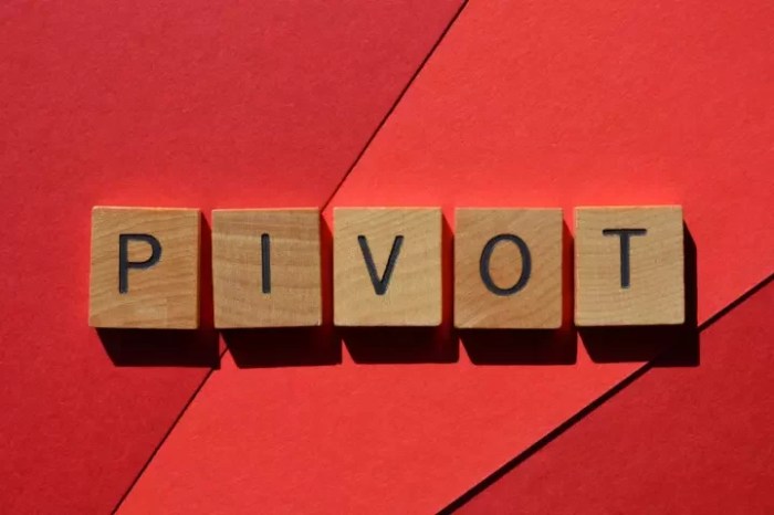 Business pivot strategies
