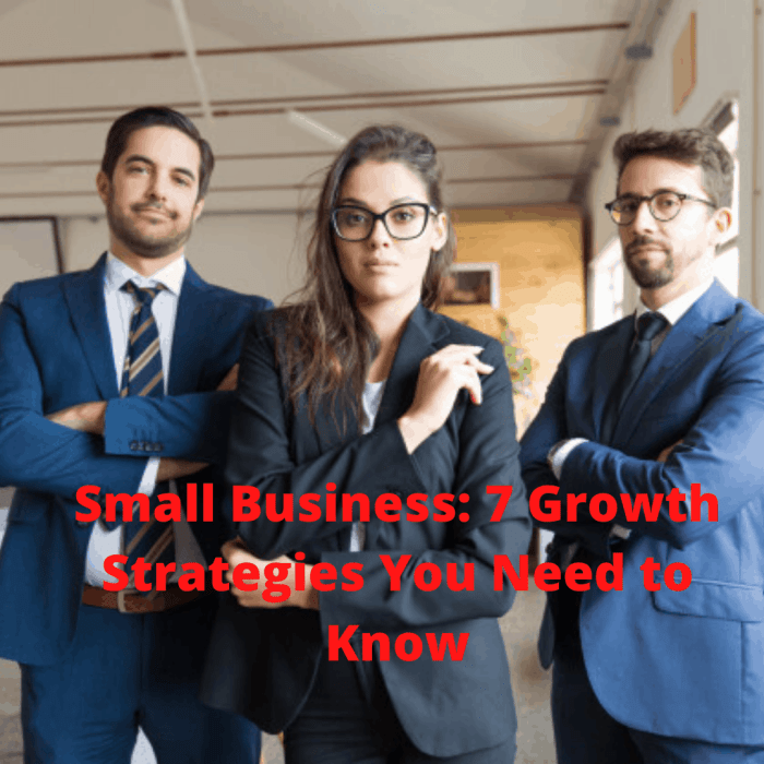Small business growth tips