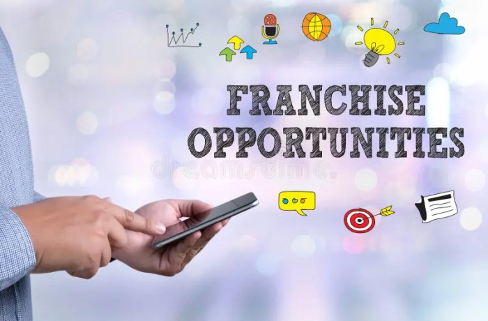 Franchise opportunities 2025